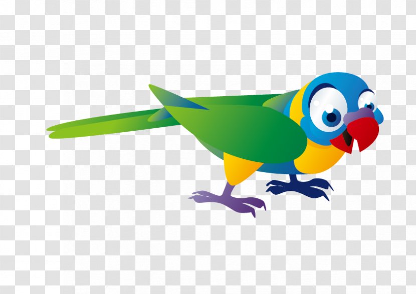 Bird Monk Parakeet Cuento Infantil Bxe1seu0148 Childhood - Perico - Vector Parrot Transparent PNG