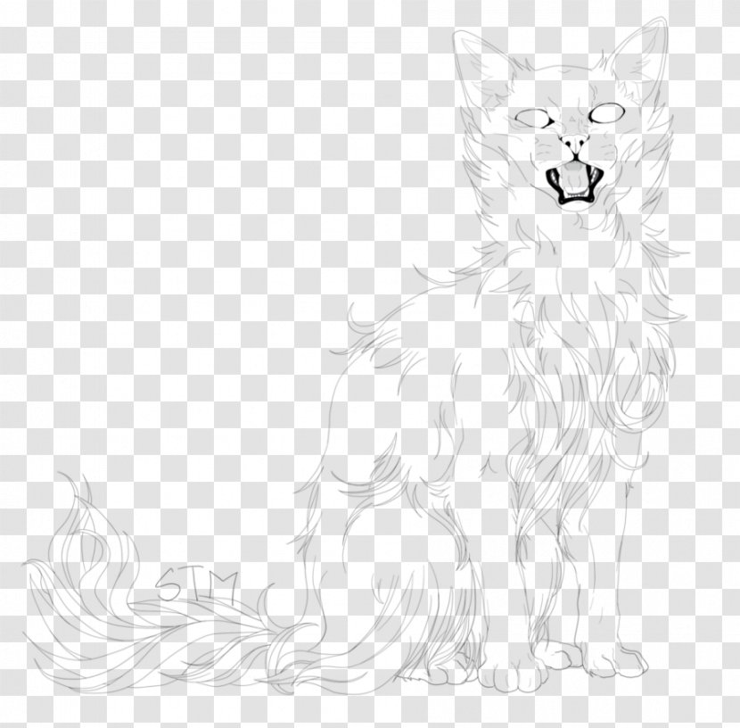 Whiskers Red Fox Dog Cat Sketch - Like Mammal - Hairy Transparent PNG