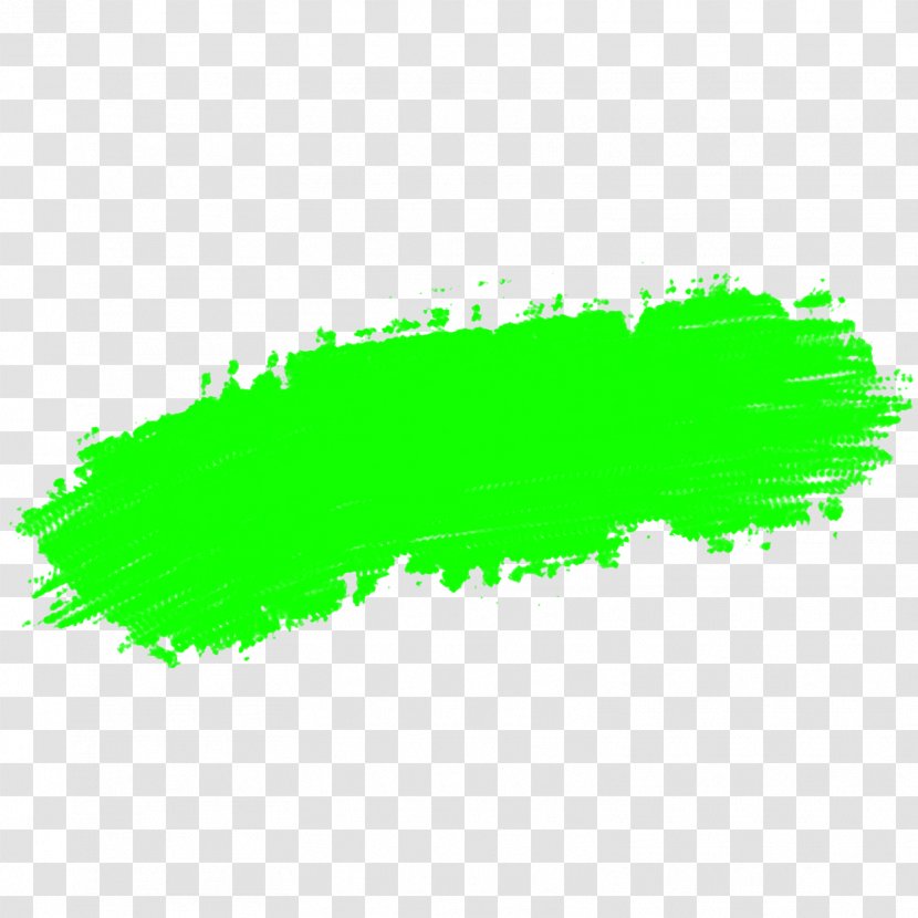 Green Brush Paint Stroke - Grass Transparent PNG