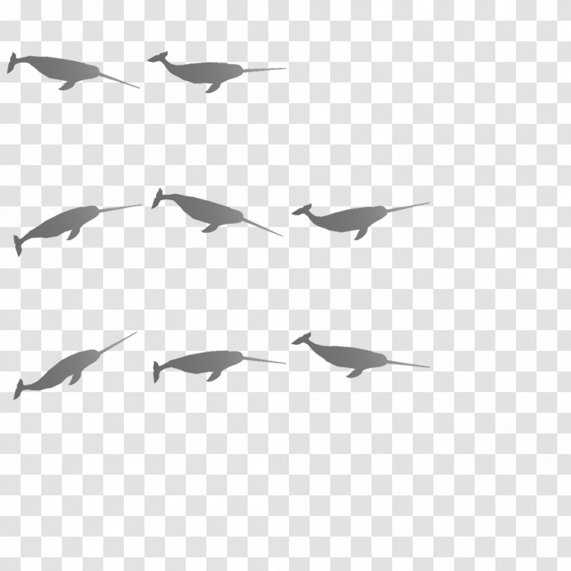 Bird Migration Flock Wader Water Transparent PNG