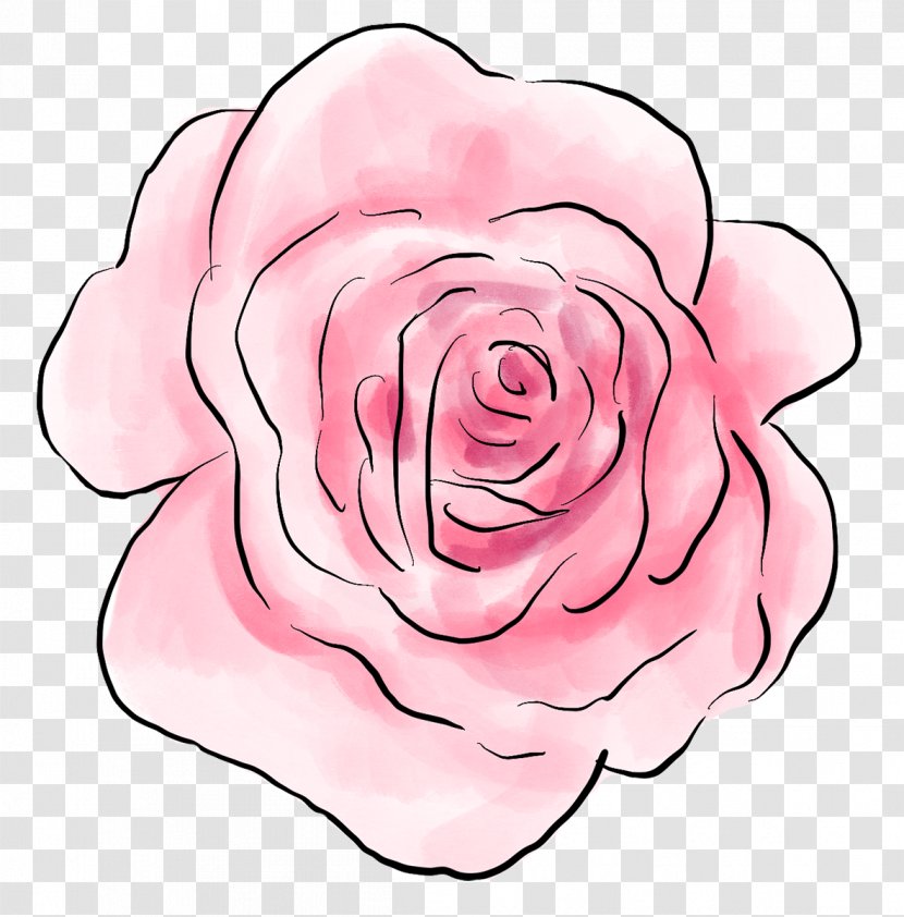 Garden Roses Centifolia Floral Design Cut Flowers - Rose Order Transparent PNG