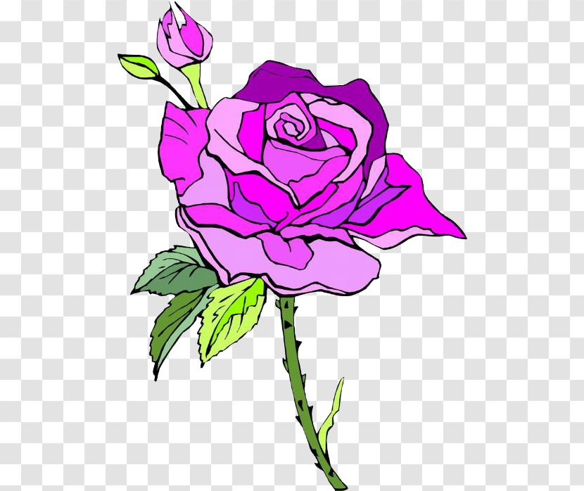 Garden Roses Centifolia Rosa Chinensis Beach Rose Clip Art - Pink Transparent PNG