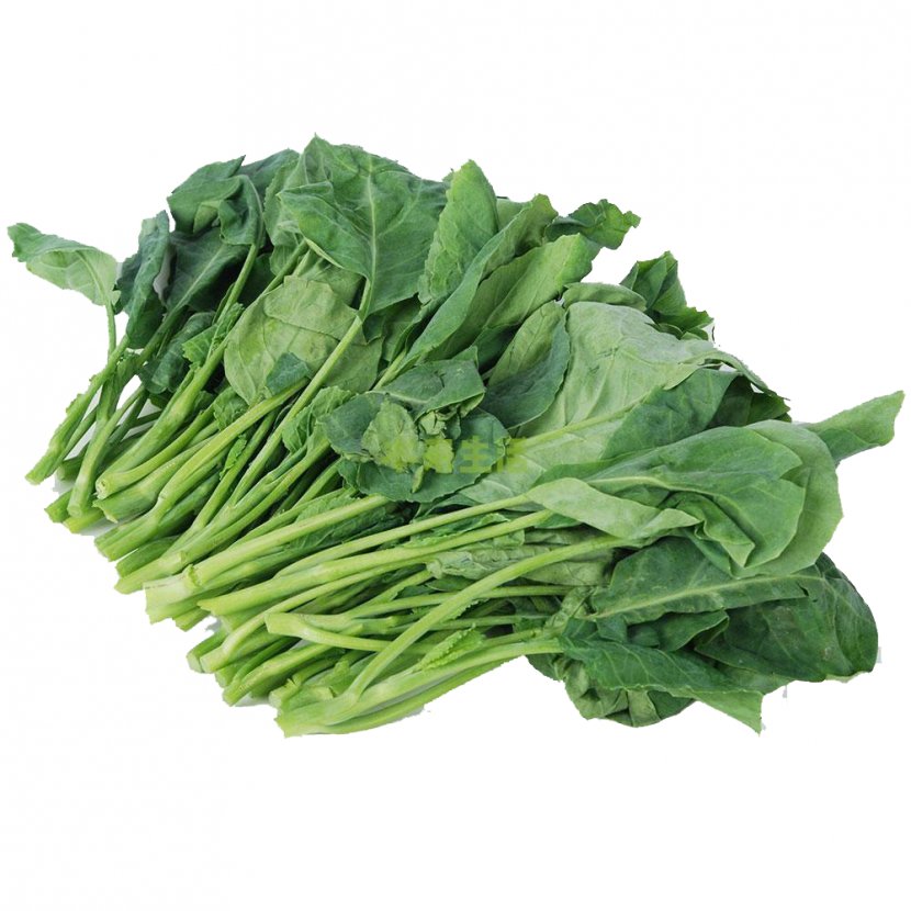 Chinese Broccoli Kohlrabi Vegetable Organic Food Brassica Juncea - Green Kale Leaf Vegetables Transparent PNG