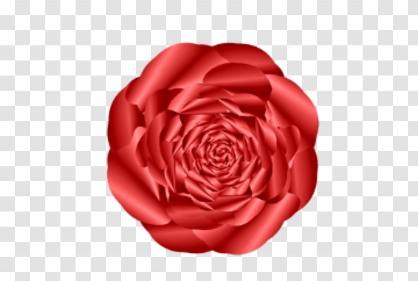 Garden Roses Cabbage Rose Floribunda Cut Flowers Petal - Red Wavy Transparent PNG