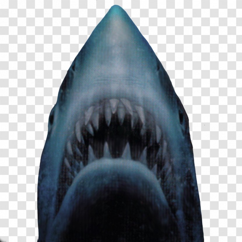 Jaws Unleashed Video Game Xbox One - Sharks Transparent PNG