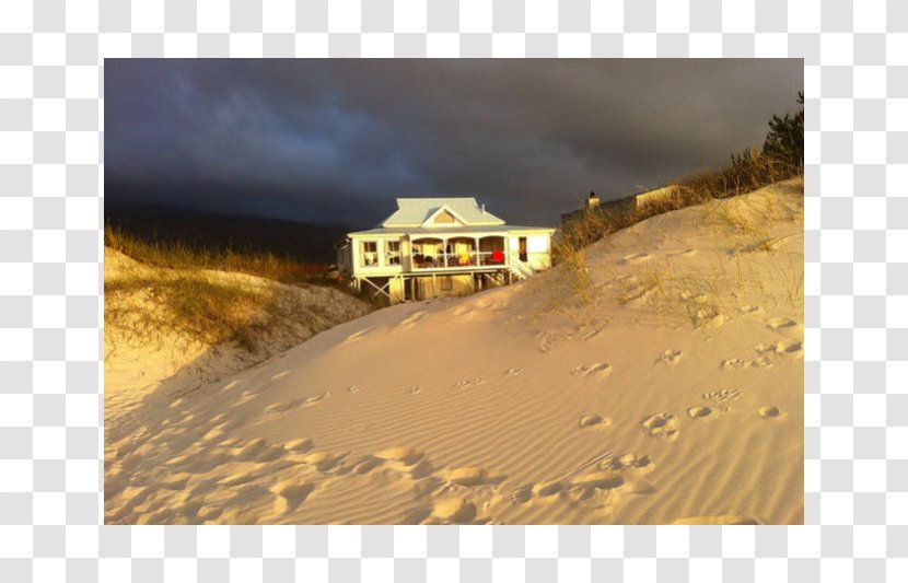 Desert Stock Photography Sky Plc - Family Beach Transparent PNG