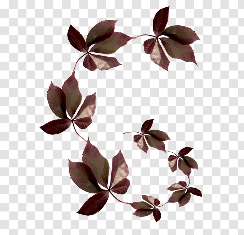 Leaf Vector Graphics Image JPEG - Blog - Fleur Marron Transparent PNG