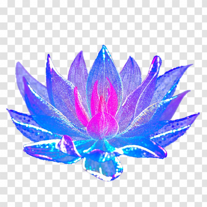 Blue Flower - Designer - Hand-painted Light Effect Effects Deduction Transparent PNG
