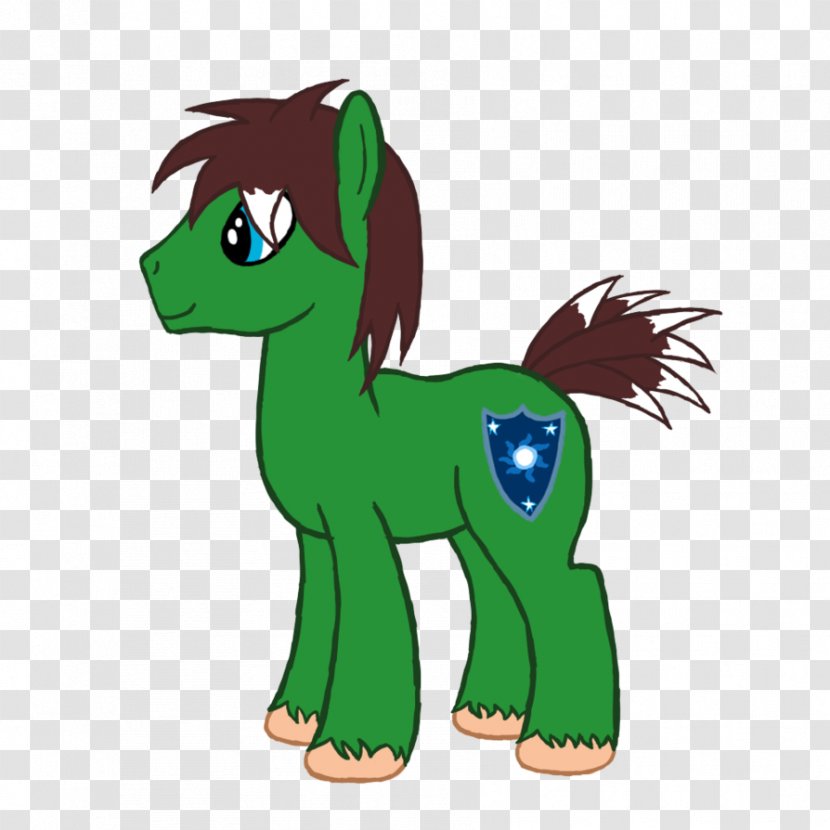 Pony Mane Mare Stallion Rainbow Dash - Tail - Koh Kood Transparent PNG