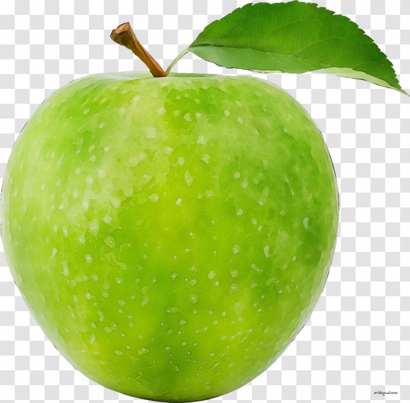 Granny Smith Green Fruit Apple Natural Foods - Food - Tree Seedless Transparent PNG