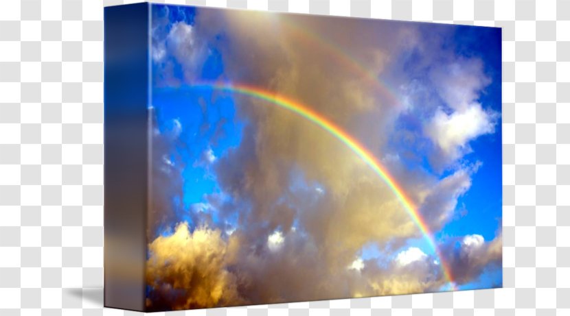 Gallery Wrap Energy Canvas Desktop Wallpaper Art - Printmaking - Rainbow Pineapple Transparent PNG