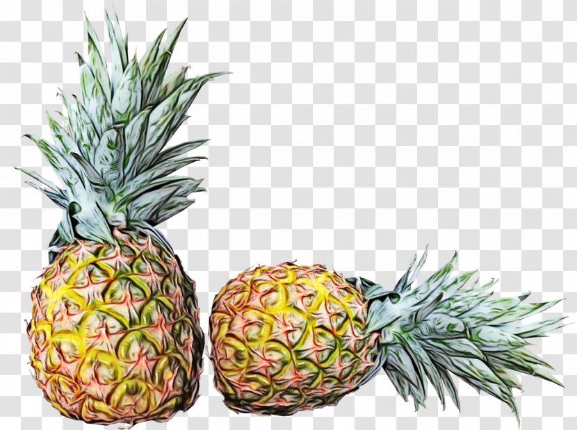 Fruit Cartoon - Pineapple - Natural Foods Plant Transparent PNG