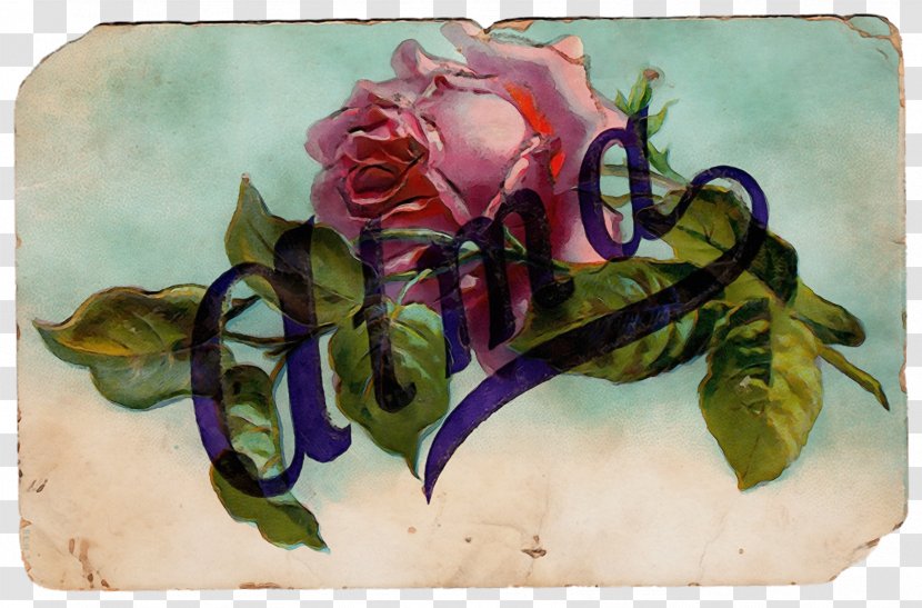 Rose - Calligraphy - Drawing Transparent PNG