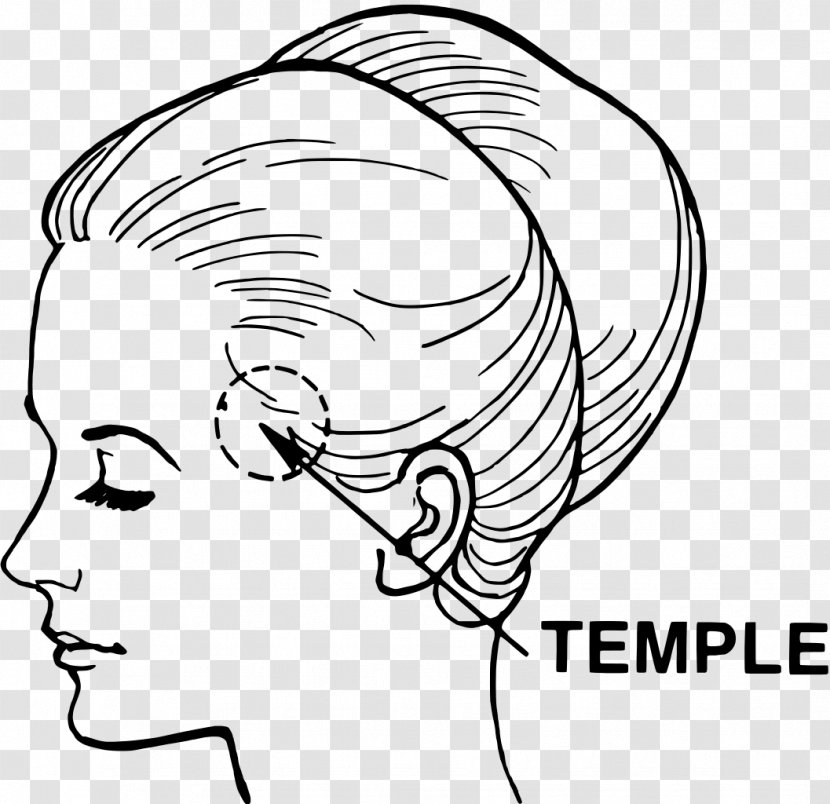 Temple Head And Neck Anatomy Temporal Bone Lobe - Flower Transparent PNG