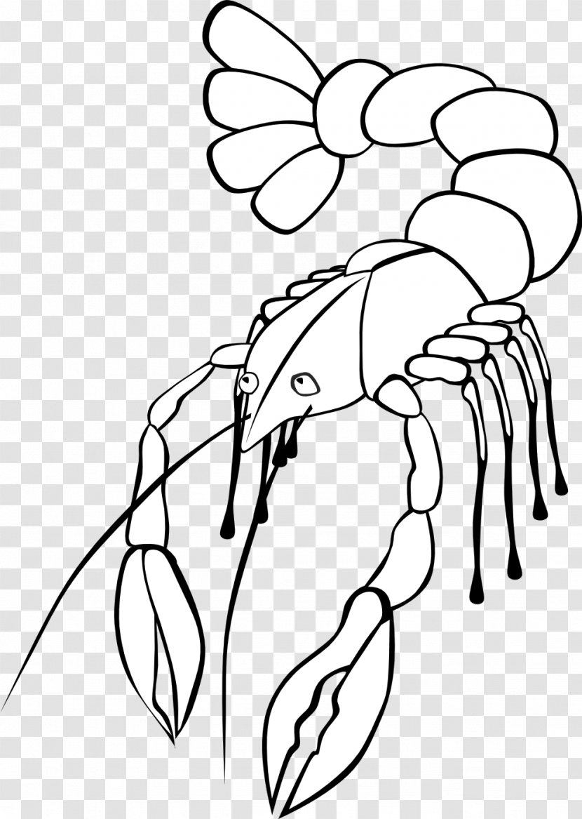 Crayfish Free Content Clip Art - Frame - Gerald G Transparent PNG