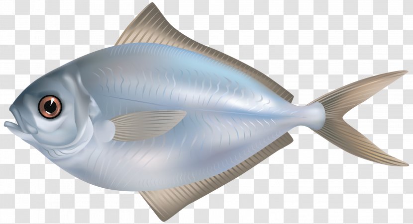 Fish As Food Fishing Clip Art - Saltwater Transparent PNG