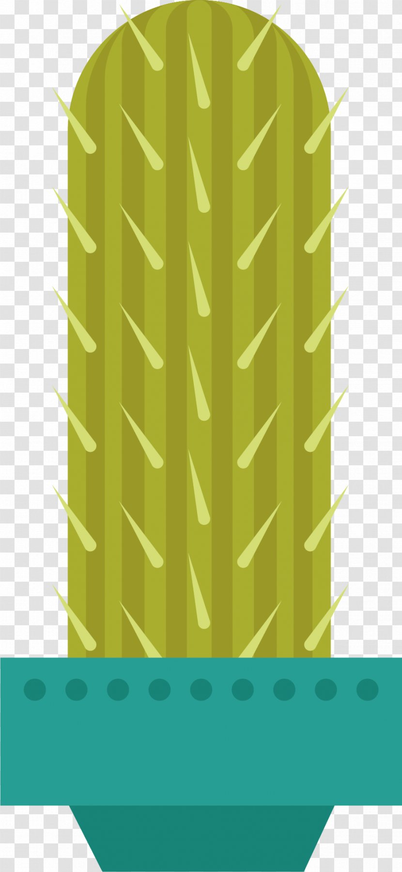 Cactaceae Euclidean Vector - Green - Cactus Transparent PNG