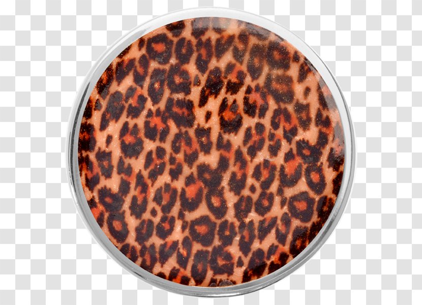 Leopard Silver Coin Animal Print Cat Transparent PNG