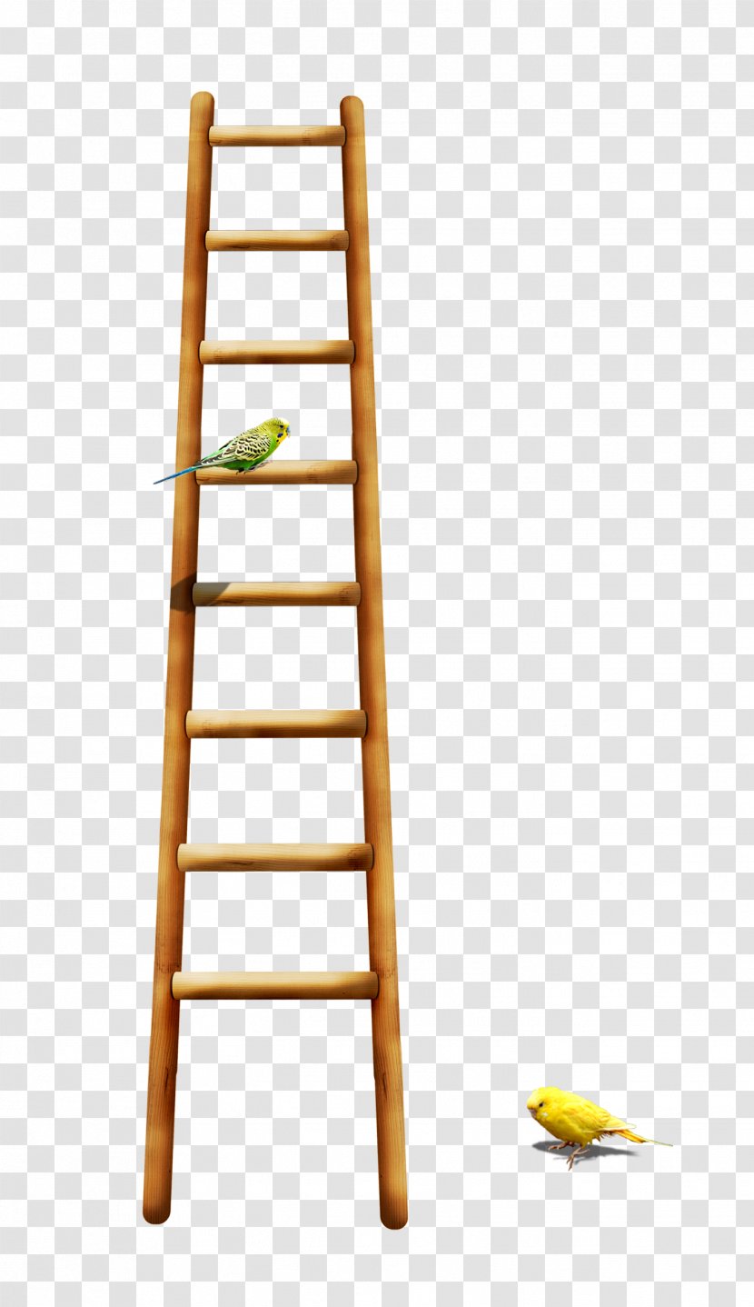 Bird Parrot Ladder - On A Transparent PNG