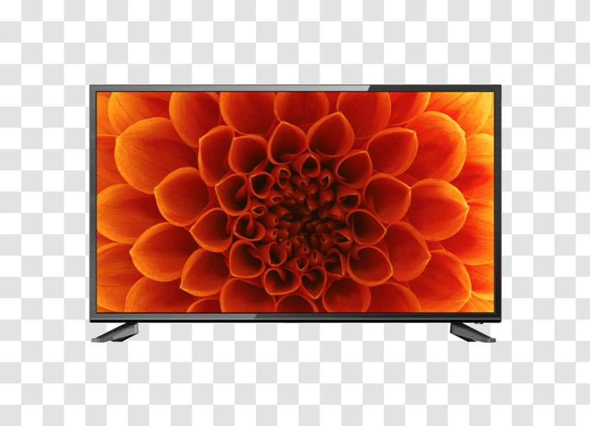 LED-backlit LCD High-definition Television 1080p Smart TV - Flower - Petal Transparent PNG