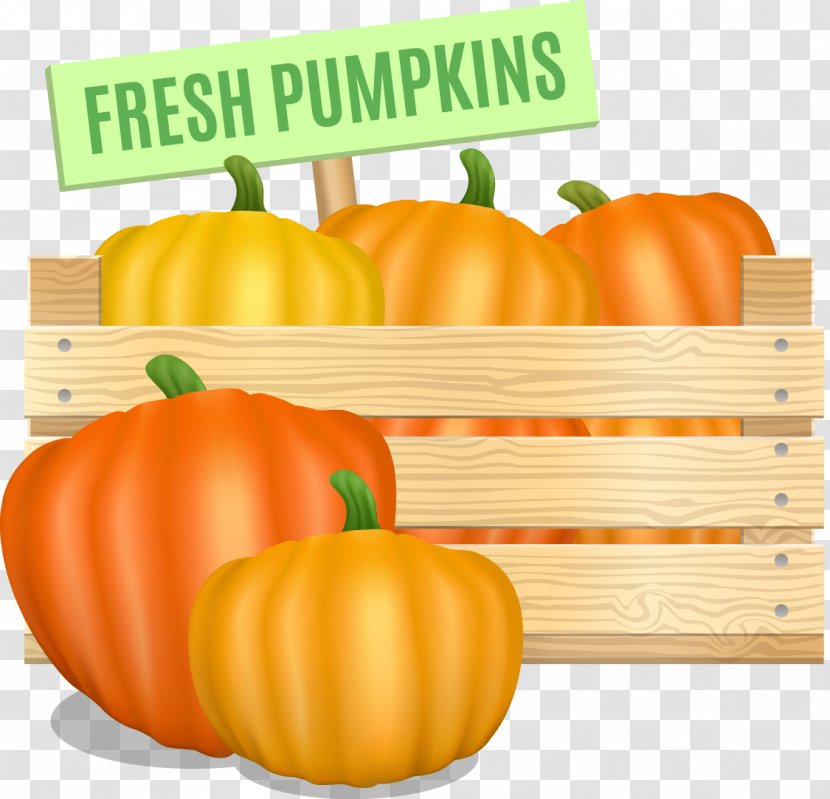Pumpkin Calabaza Winter Squash Vegetable - Superfood Transparent PNG