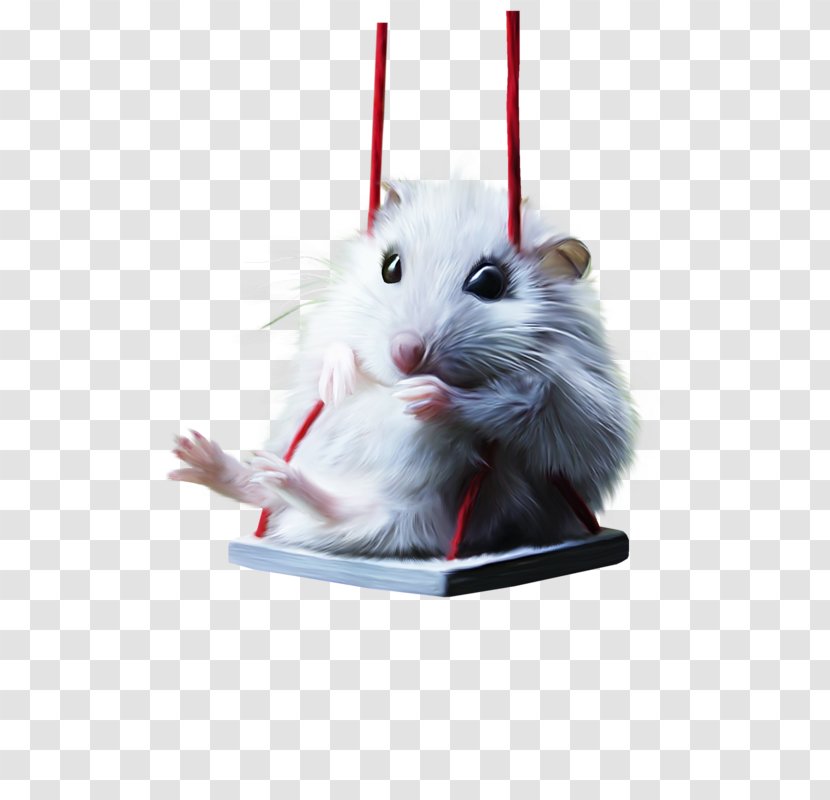 Gerbil Hamster Swing Painting White - Hammock Transparent PNG