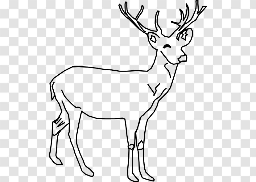 White-tailed Deer Moose Elk Clip Art - Animal - Batik Transparent PNG