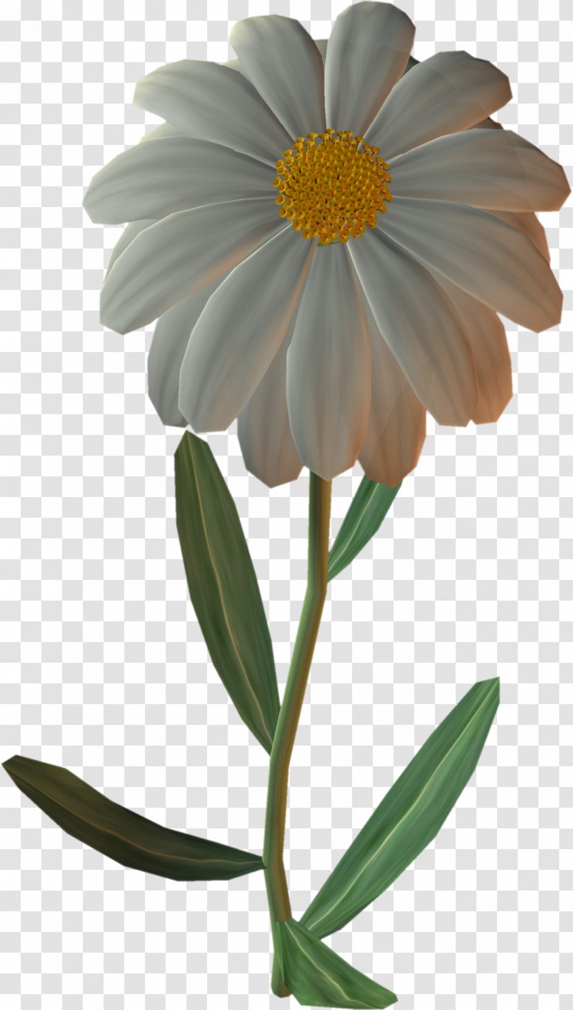 German Chamomile Flower Common Daisy Clip Art - Blumen Transparent PNG