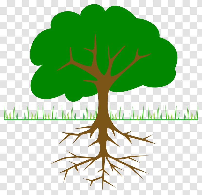 Tree Branch Root Clip Art - Plant - Branches Pictures Transparent PNG