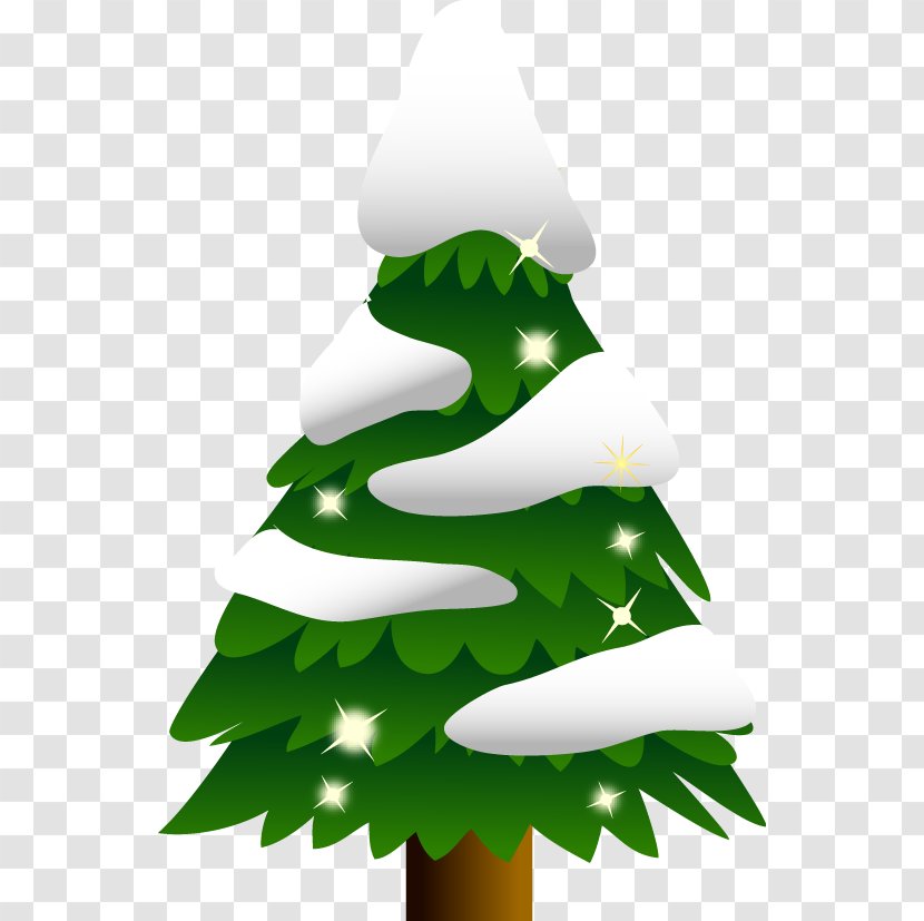 Abies Firma Christmas Tree - Pine Family - Event Transparent PNG