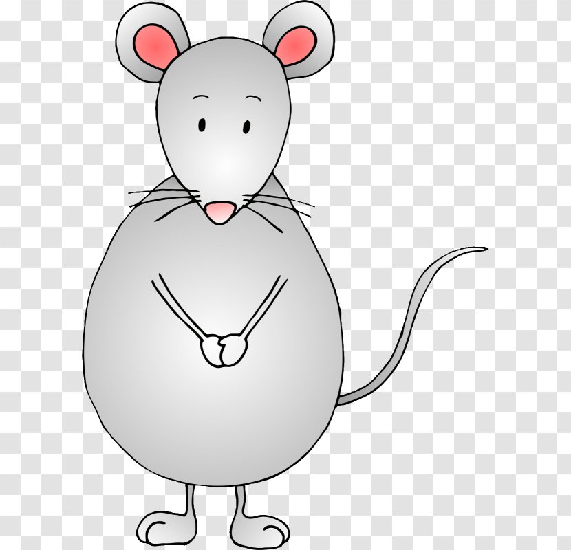 Clip Art GIF Computer Mouse Image Cat - Snout - Abc Transparent PNG