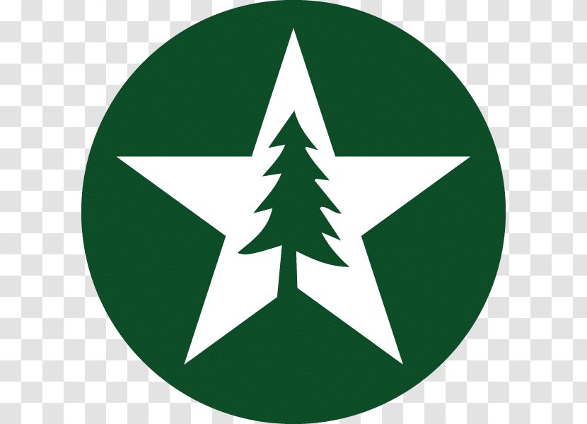 Esperanto Wikipedia Symbols Culture - Gasoline Transparent PNG