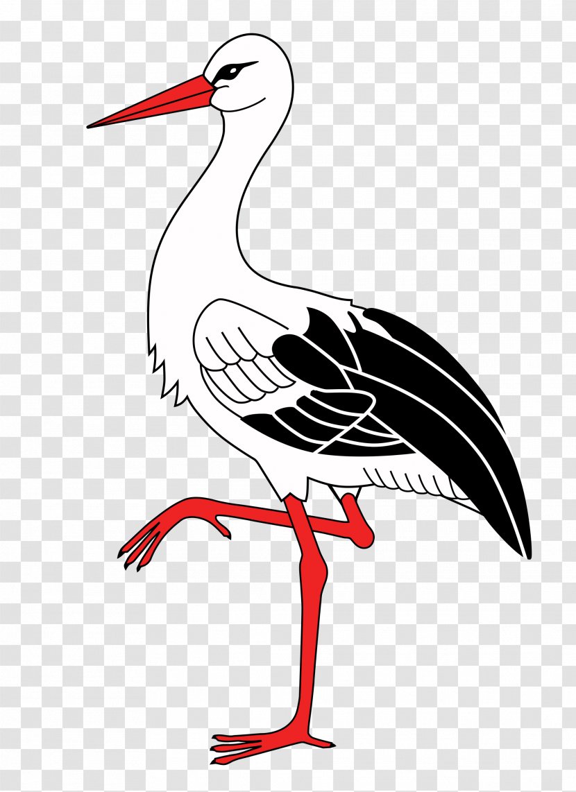 White Stork Bird Wader Bergenhusen Beak - Seabird Transparent PNG