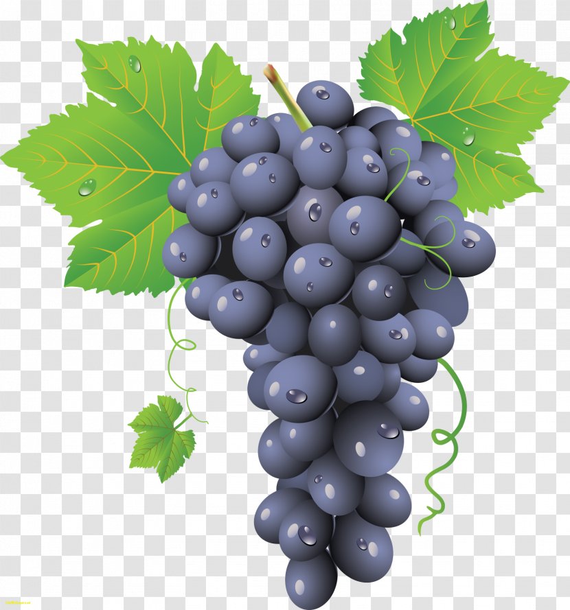 Common Grape Vine Red Wine Chardonnay - Seed Extract - Juice Transparent PNG