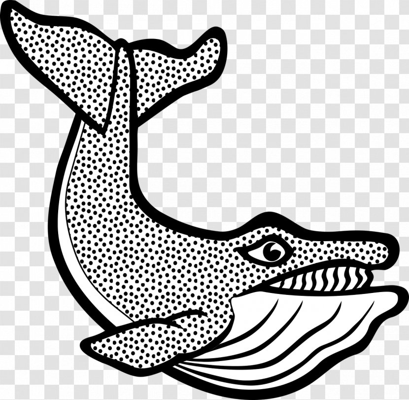 Clip Art Marine Mammal Cetacea Vector Graphics Little Whale - Organism - Sea Animals Transparent PNG