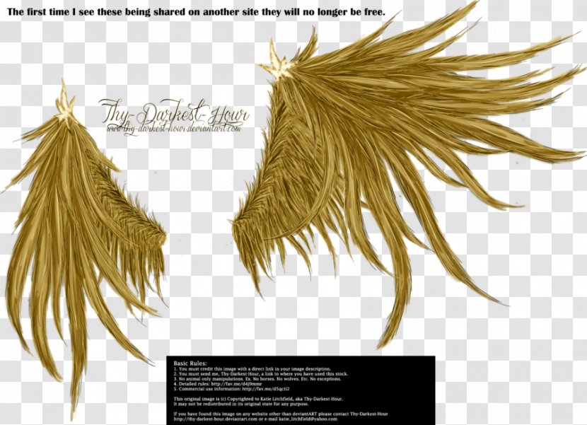 Download Wing Clip Art - Angel - Golden Wings Transparent PNG
