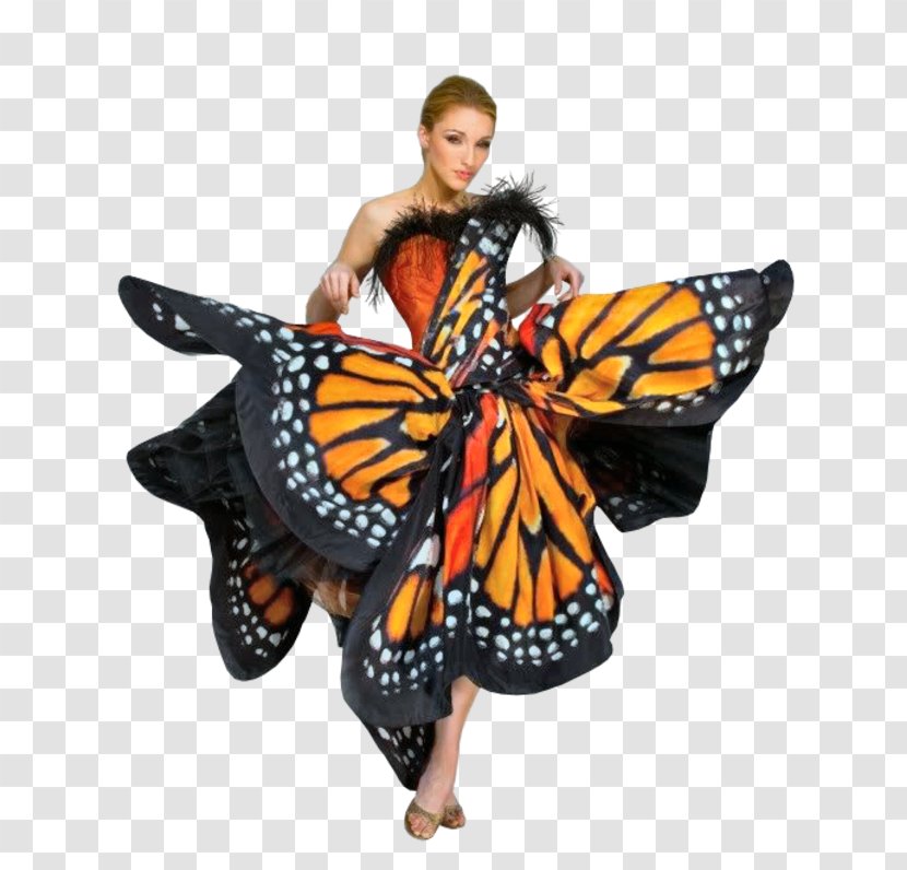 Butterfly Robe Dress Costume Gown - Monarch Transparent PNG