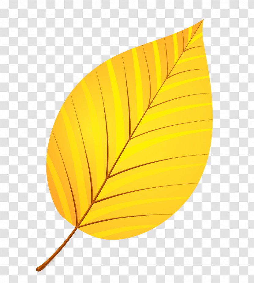 Leaf Yellow Autumn Leaves Petal Transparent PNG