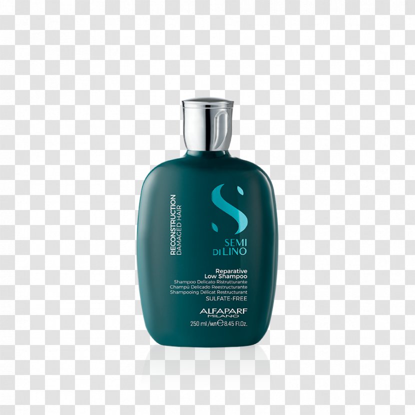 Shampoo Lotion Hair Conditioner Cosmetics - Merritts For Transparent PNG