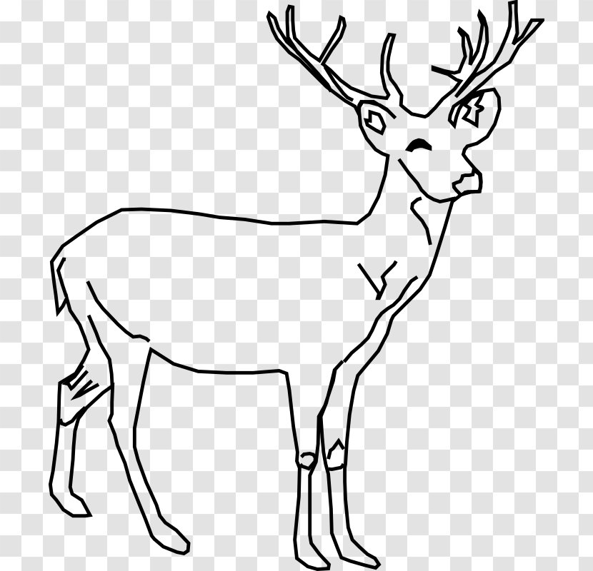 White-tailed Deer Moose Red Clip Art - Horn Transparent PNG