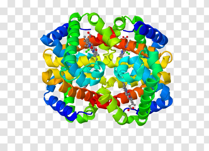 Fetal Hemoglobin Sickle Cell Disease Protein Fetus - Methemalbumin - Rainbow Ribbon Transparent PNG