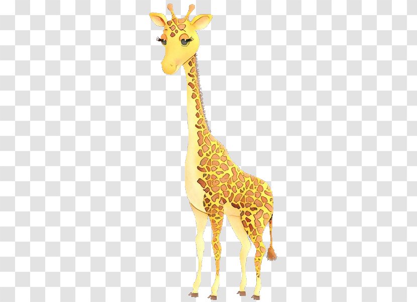 Giraffe Fauna Neck Terrestrial Animal - Wildlife Transparent PNG