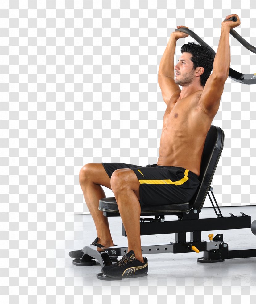 Fitness Centre Exercise Equipment Physical Strength Training - Tree Transparent PNG