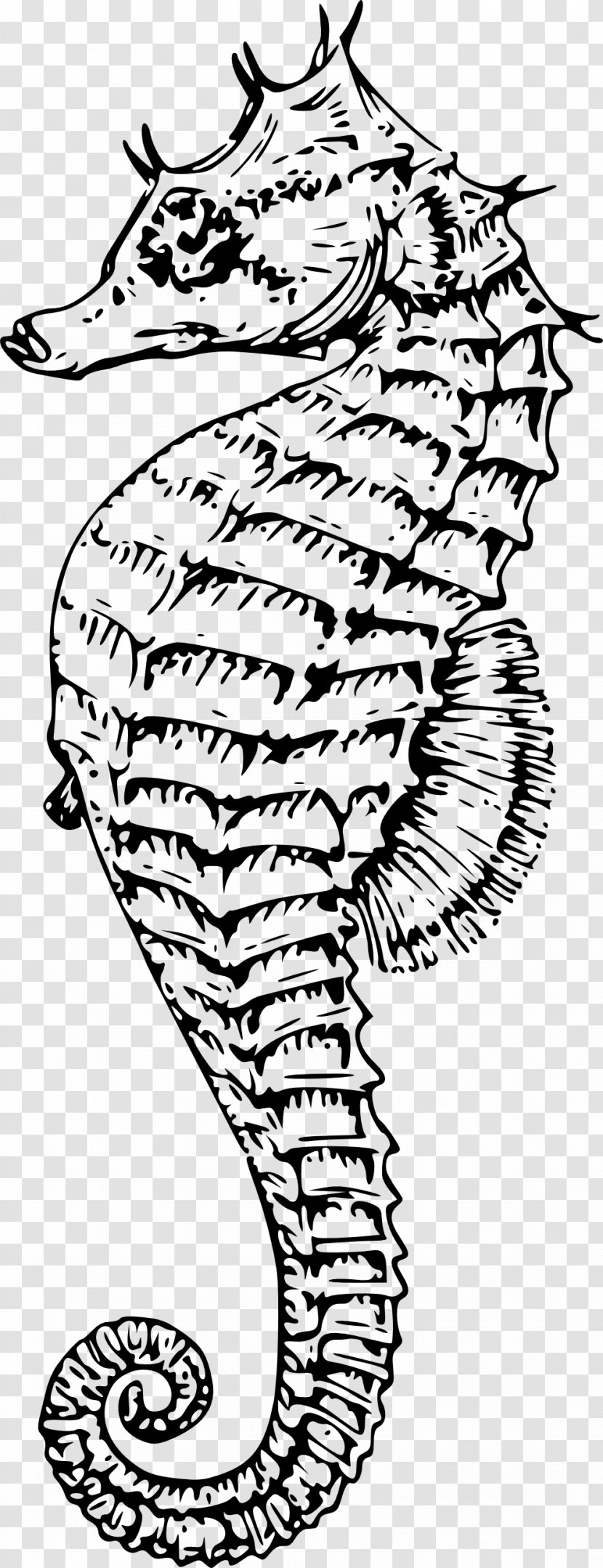 Lined Seahorse Syngnathidae Clip Art - Flower - Horse Transparent PNG