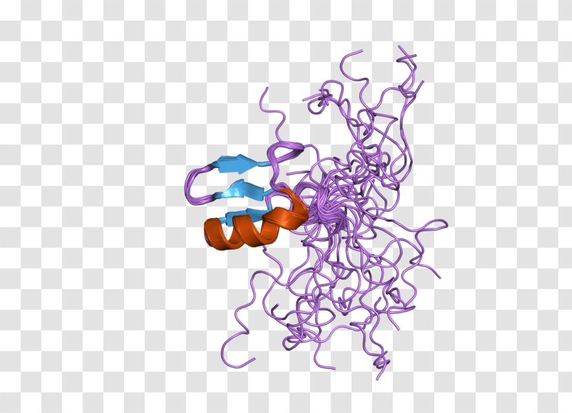 CHD7 Helicase Chromatin Remodeling Protein Enzyme - Magnetic Tweezers - Text Transparent PNG