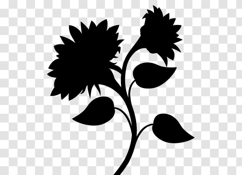 Clip Art Vector Graphics Stock Photography Royalty-free Image - Monochrome - Botany Transparent PNG