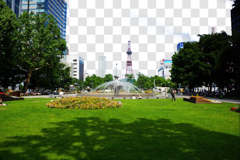 Lake Shikotsu Tu014dya Odori Park - Landscaping - Hokkaido Big Picture Transparent PNG