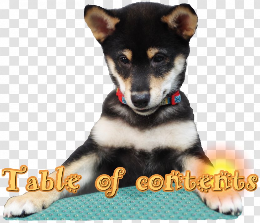 Dog Breed Shiba Inu Lapponian Herder Puppy German Shepherd - Like Mammal Transparent PNG