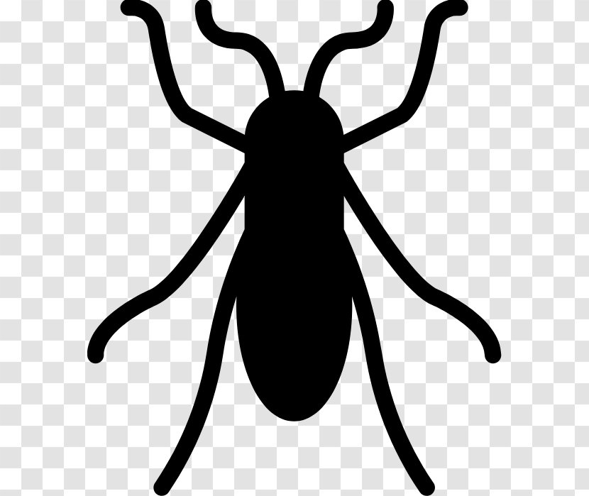 Insect Bed Bug Mosquito Clip Art - Pest Transparent PNG