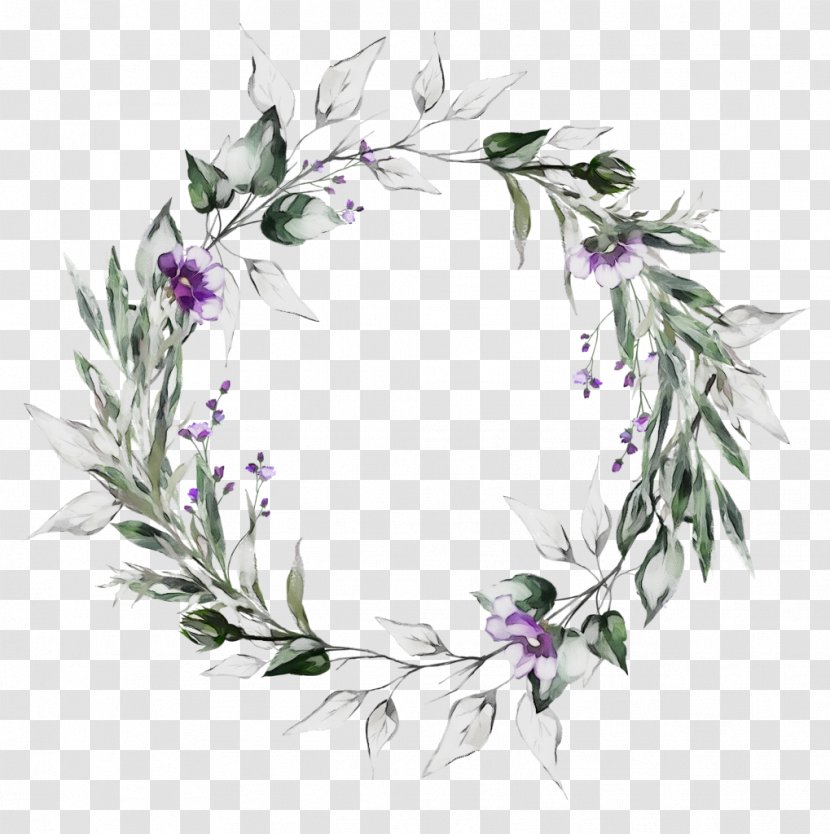 Rosemary - Leaf - Wildflower Transparent PNG